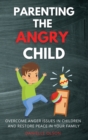 Image for Parenting the Angry Child