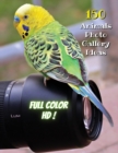 Image for Animal Photos and Premium High Resolution Pictures - Premium Paper - Full Color HD : 150 Animals Photo Gallery Ideas - Album Art Images - Creative Prints - Paperback Version - English Language Edition