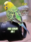 Image for Animal Photos and Premium High Resolution Pictures - Full Color HD