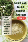 Image for SOUPE AND SALAD RECIPES MASTERY 2 in 1