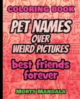 Image for Coloring Book - Pet Names over Weird Pictures - Color Your Imagination : 100 Pet Names + 100 Weird Pictures - 100% FUN - Great for Adults