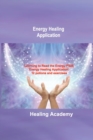 Image for Energy Healing Application : Learning to Read the Energy Field, Energy Healing Application: 12 potions and exercises