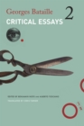 Image for Critical Essays