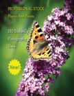 Image for Professional Stock Photos and Prints - 150 Butterfly Photography Ideas - Full Color HD : Butterfly Pictures And Premium High Resolution Images - Premium Photo Book - Paperback Version - English Langua