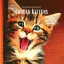 Image for Curious looks of Cuddly Kittens