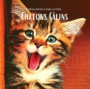 Image for Regards curieux des Chatons Calins : Album photo en couleur avec de magnifiques chatons. Idee de cadeau pour les amoureux des petits felins et de la nature. Livre de photos avec des portraits en gros 
