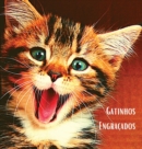 Image for Gatinhos Engracados : Album de fotografias a cores com belos gatinhos. Ideia de prenda para os amantes de gatos pequenos e da natureza. Livro fotografico com retratos em grande plano de gatinhos que d