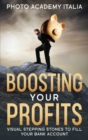 Image for Boosting Your Profits : Visual Stepping Stones to Fill Your Bank Account