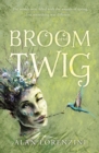 Image for Broom and Twig