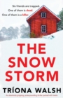 Image for The Snowstorm : An absolutely gripping, pulse-pounding thriller packed with twists