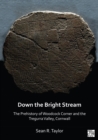 Image for Down the bright stream  : the prehistory of Woodcock Corner and the Tregurra Valley, Cornwall