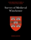 Image for Survey of medieval Winchester