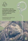 Image for Three Forts on the Tay : Excavations at Moncreiffe, Moredun and Abernethy, Perth and Kinross 2014-17