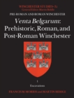 Image for Venta Belgarum: prehistoric, Roman, and post-Roman Winchester