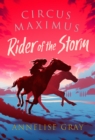 Image for Rider of the storm : 3