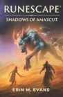Image for RuneScape: Shadows of Amascut