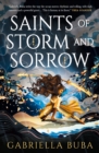 Image for The Stormbringer Saga - Saints of Storm and Sorrow