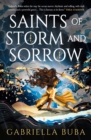 Image for Saints of storm and sorrow