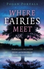 Image for Where fairies meet  : parallels between Irish and Romanian traditions