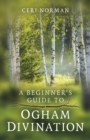 Image for Beginner&#39;s Guide to Ogham Divination, A