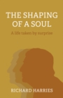 Image for The shaping of a soul  : a life taken by surprise