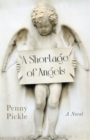 Image for A shortage of angels: a novel