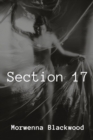 Image for Section 17