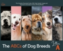 Image for The ABCs of Dog Breeds, Letter A : The Complete Illustrated Guide, With High-Quality Images and Important Information to Know All Dog Breeds