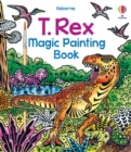 Image for T. Rex Magic Painting Book