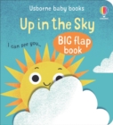 Image for Up in the sky