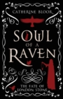 Image for Soul of a Raven