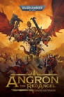 Image for Angron: The Red Angel