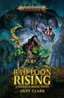 Image for Bad Loon Rising