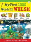 Image for My First 1000 Words in Welsh