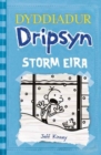 Image for Dyddiadur Dripsyn: Storm Eira