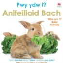 Image for Pwy Ydw i? Anifeiliaid Bach / Who Am I? Baby Animals