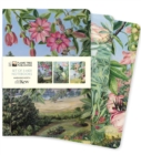 Image for Kew Gardens: Marianne North Set of 3 Midi Notebooks
