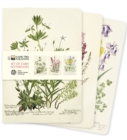 Image for Royal Botanic Garden Edinburgh Set of 3 Midi Notebooks