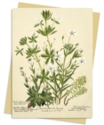 Image for RBGE: Charlotte Cowan Pearson: Stitchworts, Woodruff and Pepperwort Greeting Card Pack