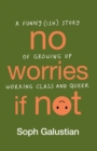 Image for No worries if not  : a funny(ish) story of growing up working class and queer
