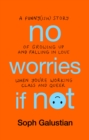 Image for No worries if not  : a funny(ish) story of growing up and falling in love when you&#39;re working class and queer