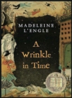 Image for A WRINKLE IN TIME  TIME QUINTET