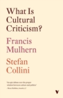 Image for What Is Cultural Criticism?