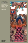 Image for Cultures in Babylon  : feminism from black Britain to African America