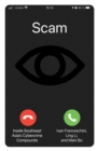 Image for Scam