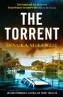 Image for The torrent