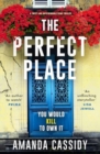 Image for The Perfect Place : A twisty and unputdownable crime thriller