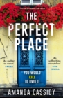 Image for The Perfect Place : A twisty and unputdownable crime thriller