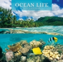 Image for Ocean Life 2023 Square Wall Calendar