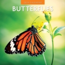 Image for Butterflies 2024 Square Wall Calendar